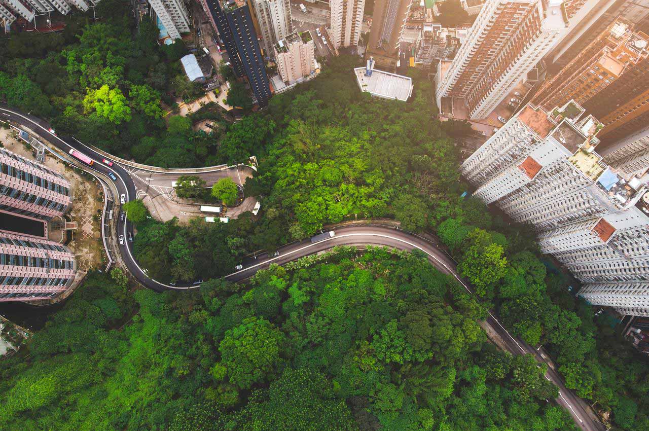 A picture of the Hong Kong rainforest symbolizes portfolio diversification